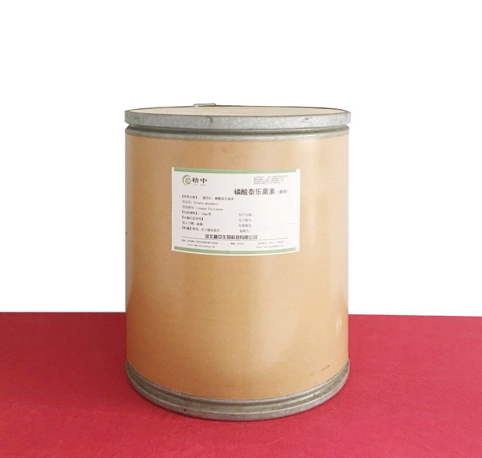 ����̩��(l��)����